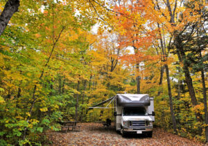 camper in the woods